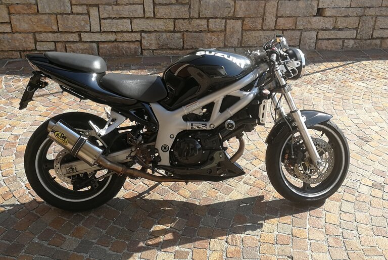 suzuki_sv.jpg