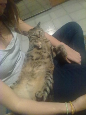 04112010082_576x768.jpg (73.09 KiB) Visto 3008 volte 04112010082_576x768.jpg