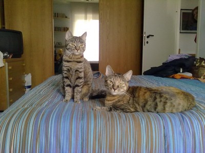 14042011107_1024x768.jpg (197.05 KiB) Visto 3004 volte 14042011107_1024x768.jpg