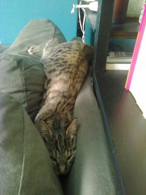 27092010071_576x768.jpg (92.8 KiB) Visto 3004 volte 27092010071_576x768.jpg