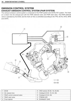 cat sv k7.JPG
